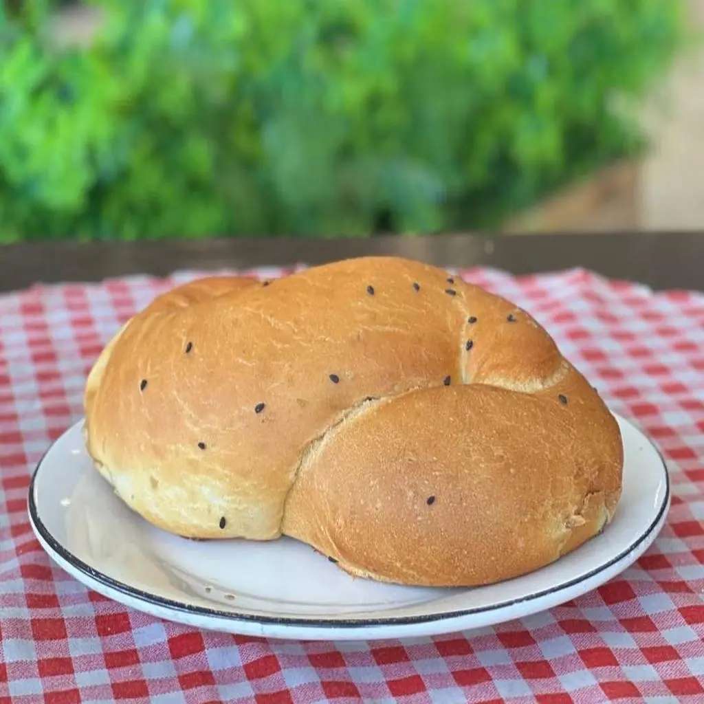 أجمة جبن وزيتون